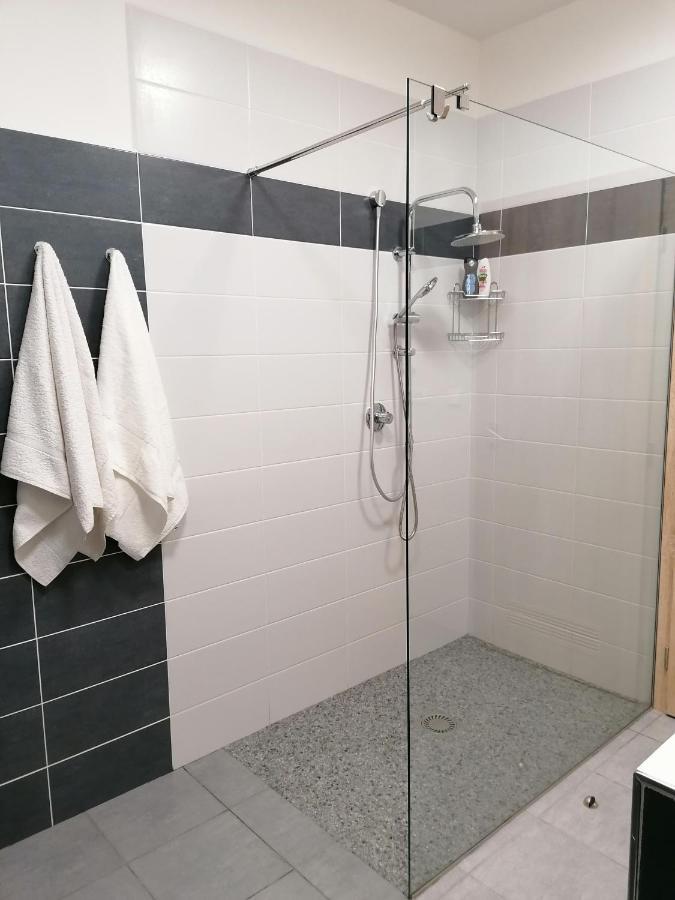 Apartman Frymburk-Lipno G10 エクステリア 写真