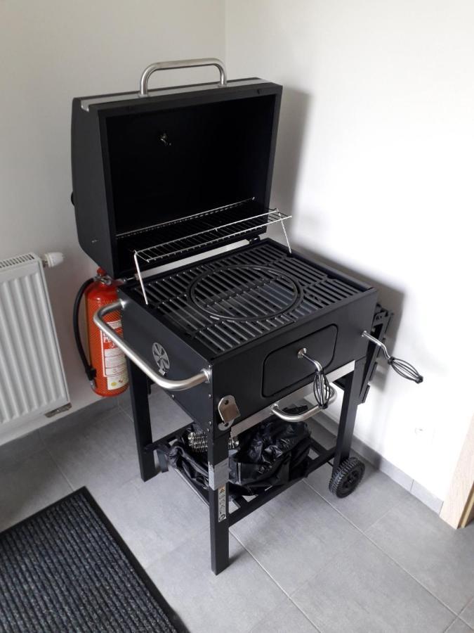 Apartman Frymburk-Lipno G10 エクステリア 写真
